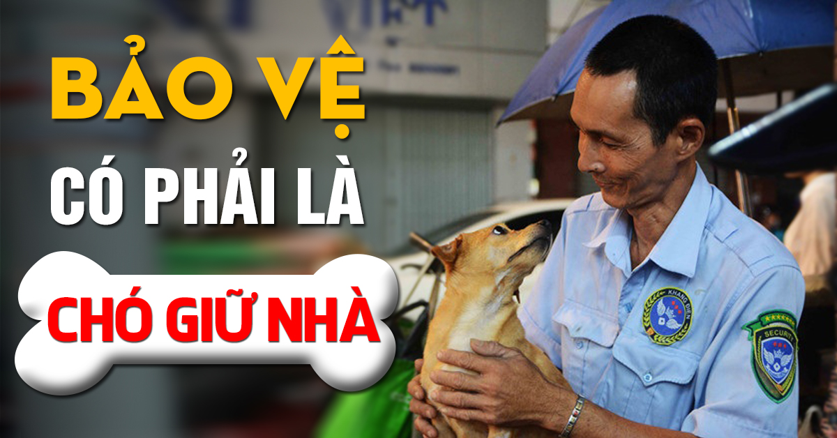 BẢO VỆ CÓ PHẢI LÀ CHÓ GIỮ NHÀ?